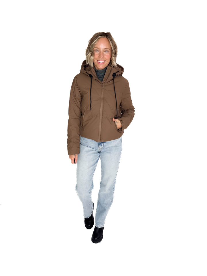 Johnstone Coated Jacket- CHOCOLATE