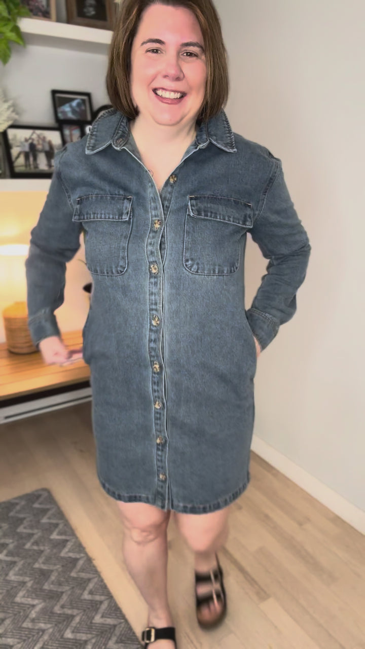 THREAD & SUPPLY Ivanna Shirt Dress/Shacket